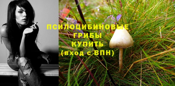 прущая мука Белоозёрский