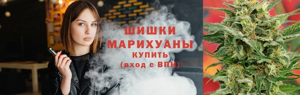 хмурый Белокуриха