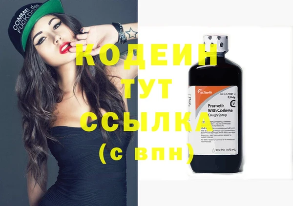 хмурый Белокуриха