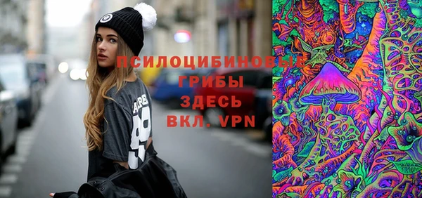 хмурый Белокуриха
