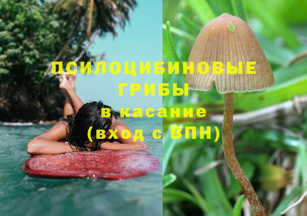 прущая мука Белоозёрский