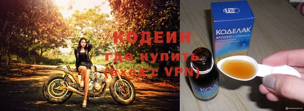 хмурый Белокуриха