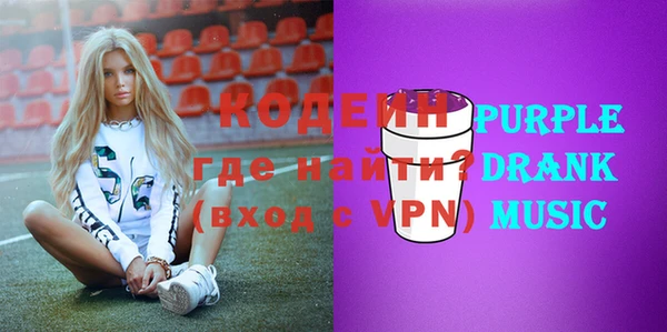 хмурый Белокуриха