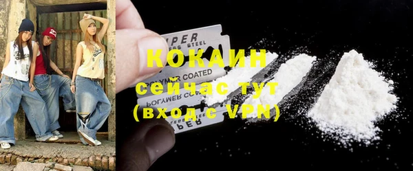 хмурый Белокуриха