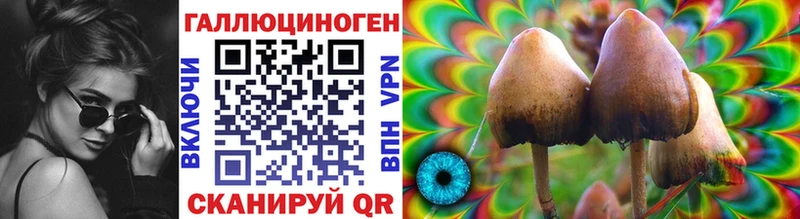 Галлюциногенные грибы мицелий  Макаров 